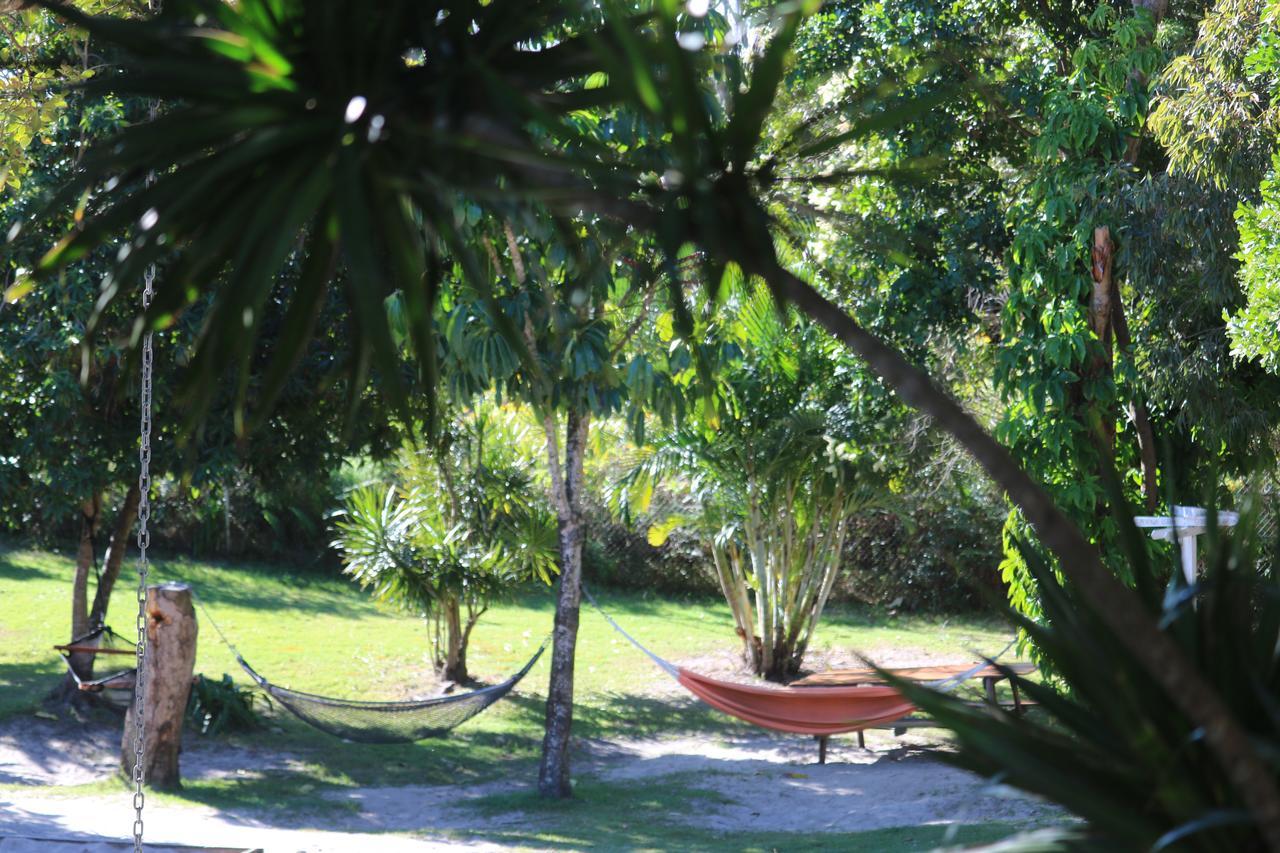 Backpackers Inn On The Beach Teluk Byron Bagian luar foto