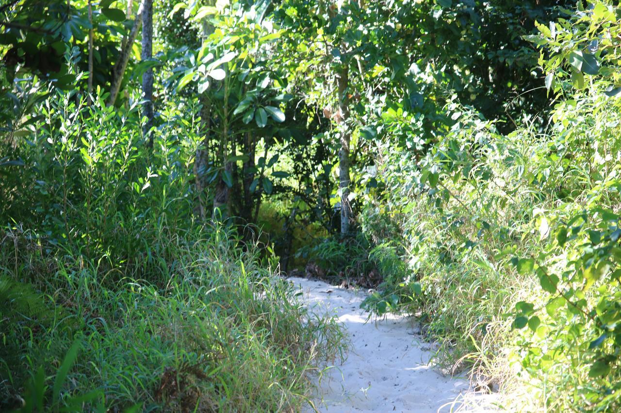 Backpackers Inn On The Beach Teluk Byron Bagian luar foto